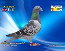 UK-L 44548